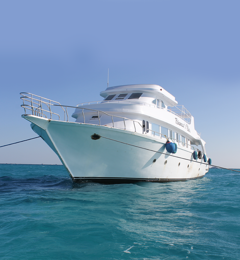VIP Boat